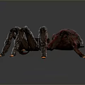 Realistic 3D Spider Model With Black Body Red Back And Orange Leg Tips