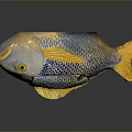 Vibrant Blue And Yellow Fish Sculpture With Detailed Scales And Smooth Surface