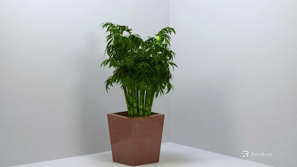 Bonsai Potted Plant With Lush Green Leaves In Brown Square Pot On White Surface 3d model 