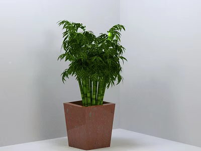 Bonsai Potted Plant With Lush Green Leaves In Brown Square Pot On White Surface 3d model