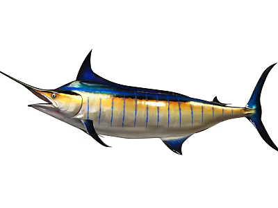 Sailfish Aquatic Animal With Streamlined Body Blue Yellow Coloration And Long Bill 3d model