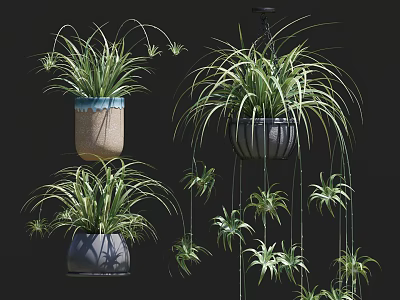 Hanging Potted Plants With Different Styles Various Colored Pots Long Slender Leaves And Hanging Branches 3d model