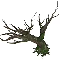 Wood and Stone Textured Dead Tree Trunk with Green Mossy Roots and Dry Branches 3d model