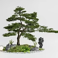 Bonsai Pine Tree Decorative Landscape With Rocks Plants And Round Lamp 3d model