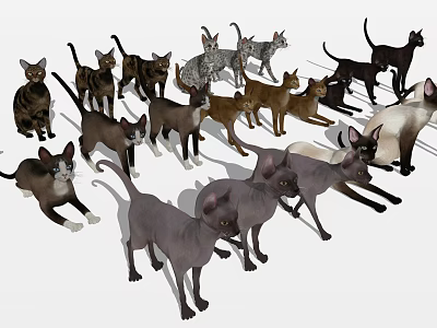 Diverse Reptile Species in Various Colors and Poses Including Standing and Resting 3d model