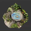 Lush Green Plants Surrounding Tree Stump With Small Blue Water Puddle And Moss
