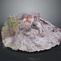 Detailed Natural Tree Stump Featuring Exposed Roots And Moss Covered Rough Surface