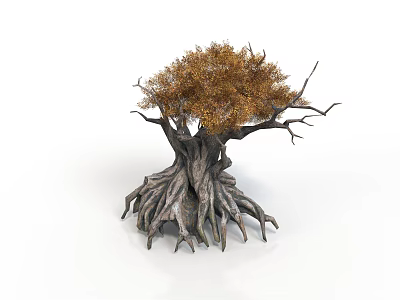 Ancient Tree With Thick Trunk Extensive Roots And Orange Yellow Foliage 3d model