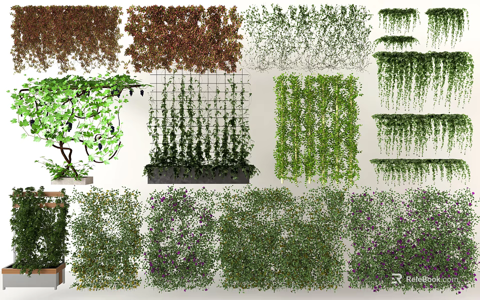 Various Decorative Vines For Indoor Outdoor Green Walls And Climbing Grids 3d model