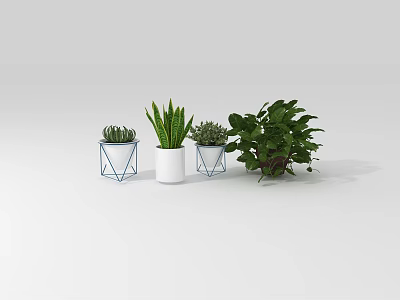 Stylish Potted Plants Collection With Green Leaves And Modern Planters On White Background 3d model