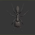 Metallic Ant Sculpture With Detailed Design On Dark Reflective Surface