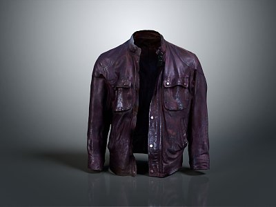 Modern Jacket Leather Jacket Fashion Jacket Casual Jacket model