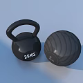 Essential Home Gym Sports Equipment Including Dumbbells Medicine Balls Kettlebell And Resistance Rings