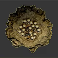 Natural Mud Built Nest With White Eggs And Small Creatures Inside