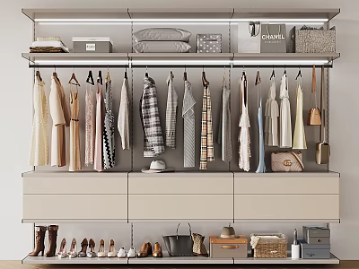 Modern Wardrobe Design with Hanging Clothes Drawers and Storage for Bags Shoes 3d model