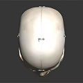 Detailed Educational Human Skull Model With Anatomical Markings And Reflected Surface