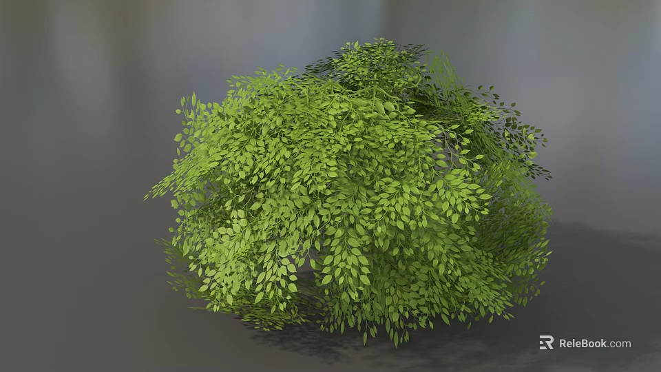 Lush Green Bush With Dense Small Leaves In Natural Garden Landscape 3d model 