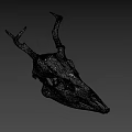 White Deer Skull With Intricate Antler Structure And Detailed Bone Features