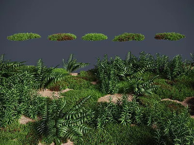 Lush Green Ferns And Different Grass Types In Natural Vegetation Scene 3d model