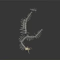 Metallic Animal Skeleton Model With Intricate Wing Structure And Bone Details
