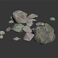 Natural Wooden Stone Samples with Gray White Color Green Brown Texture Various Sizes and Shapes