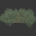 Two Green Trees Planted In White Rectangular Base With Brown Soil And Small Orange Decoration