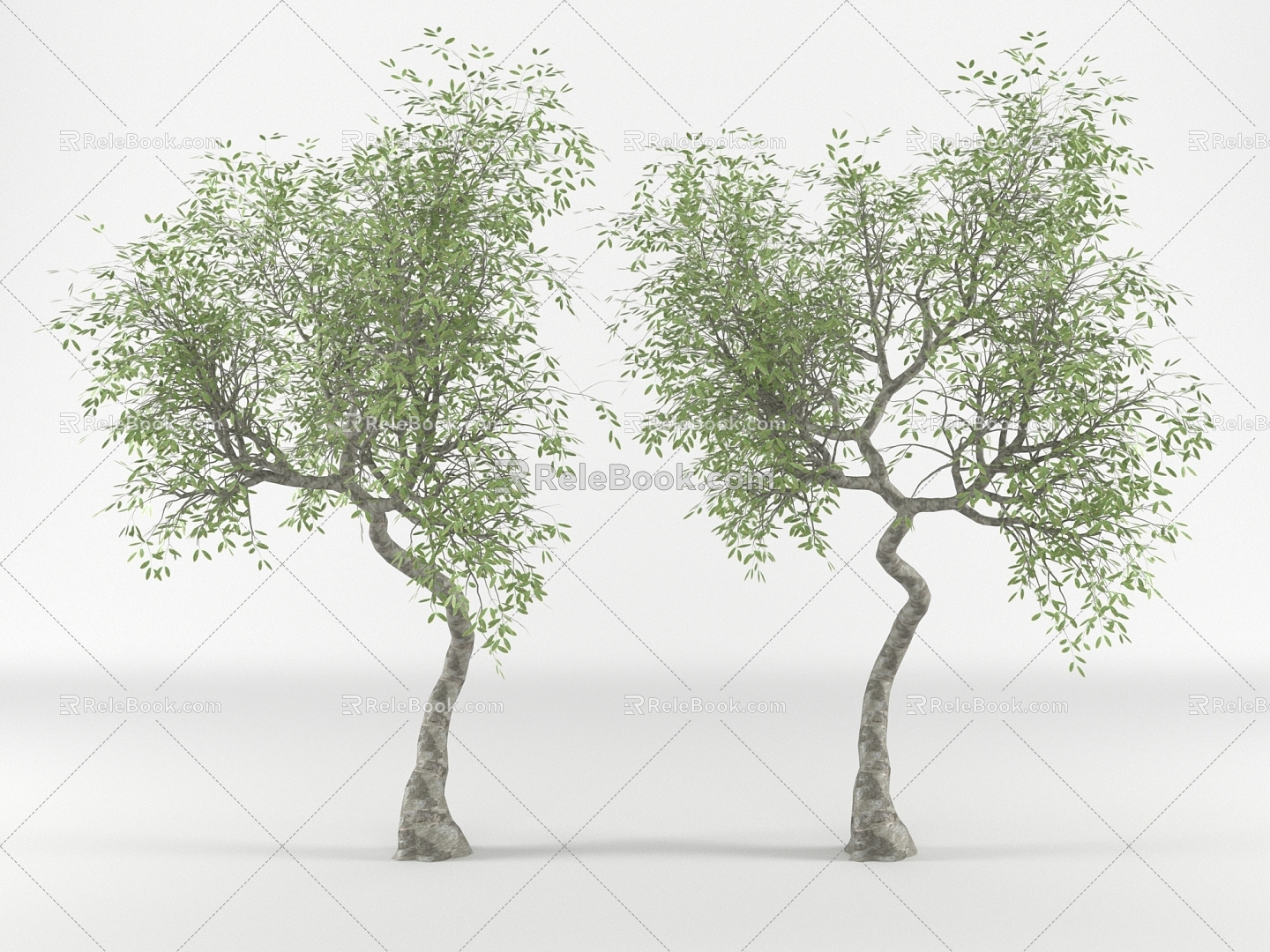 Modern Trees Trees 3d model