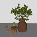 Rustic Terracotta Vase With Green Leafy Plant And Small Sprouting Pot On White Table
