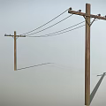 Tall Wooden Utility Poles With Multiple Power Lines Against Gray Background