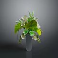 Decorative Plant With White Flowers Green Leaves And Green Berries In Vase
