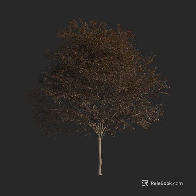 Single Tree With Brown Leaves And Slender Trunk On Black Background 3d model