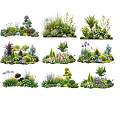 Diverse Garden Plants With Colorful Flowers Shrubs Herbs And Decorative Stones