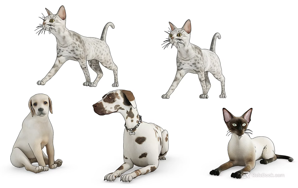 Realistic Reptile 3D Models Showcasing Various Species In Different Poses 3d model