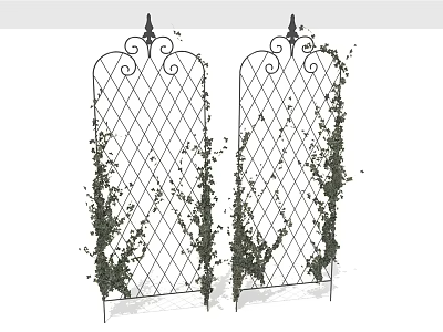 Iron Partition with Diamond Grid Decorative Top and Climbing Plants for Garden 3d model