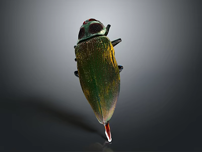Green And Yellow Metallic Beetle With Textured Exoskeleton On Gray Background 3d model