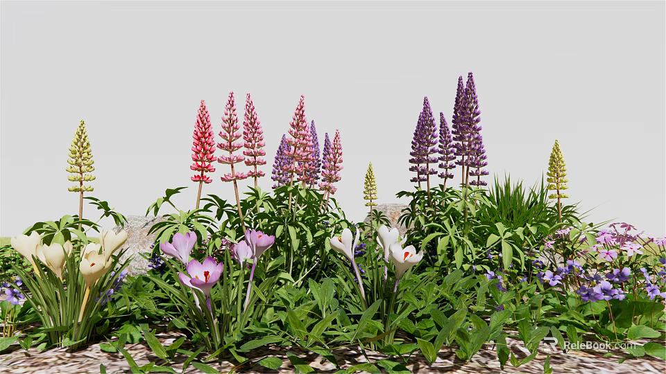 Diverse Garden Flowers With Pink Purple Yellow Blooms And Lush Green Leaves 3d model 