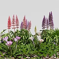 Diverse Garden Flowers With Pink Purple Yellow Blooms And Lush Green Leaves