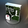 Little Prince Themed Photo Check in Spot with Rose Silhouette and Green Grass Background