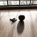 Wooden Flooring In Bright Room With Decor And Natural Light