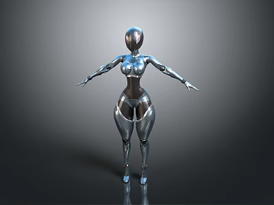 Female Humanoid Robot With Silver Metallic Body And Biomechanical Streamlined Design 3d model