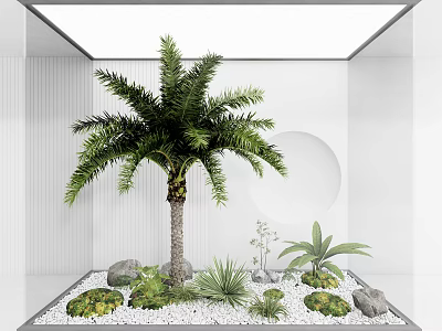 Modern plant landscape tree palm tree landscape sketch 3d model