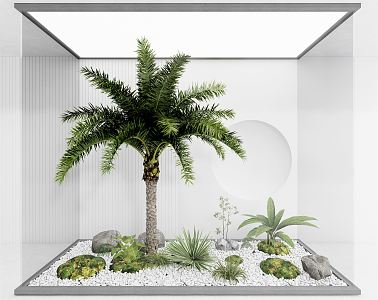 Modern plant landscape tree palm tree landscape sketch 3d model