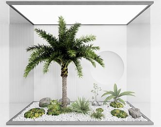 Modern plant landscape tree palm tree landscape sketch 3d model