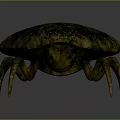 Ancient Trilobite Prehistoric Marine Arthropod With Segmented Body Spotted Exoskeleton And Multiple Legs