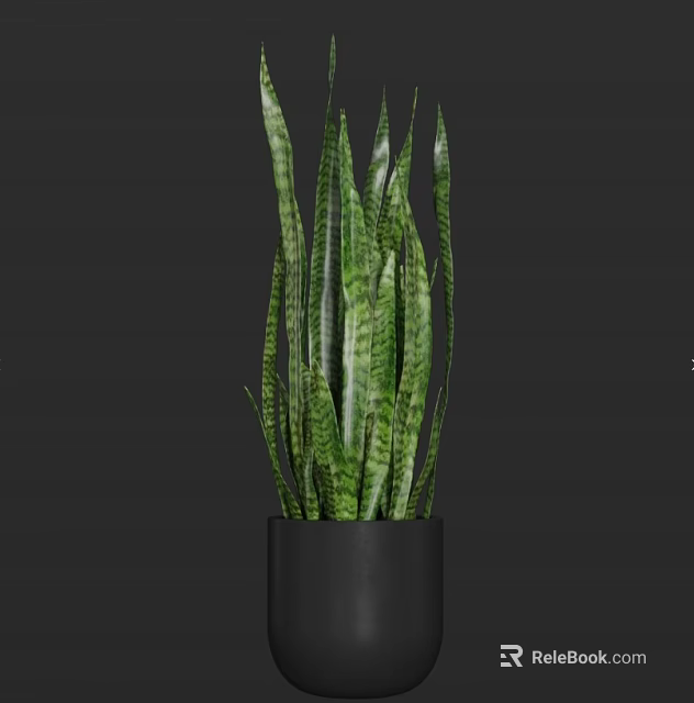 Green Potted Plant with Long Striped Leaves in Black Cylindrical Pot 3d model 