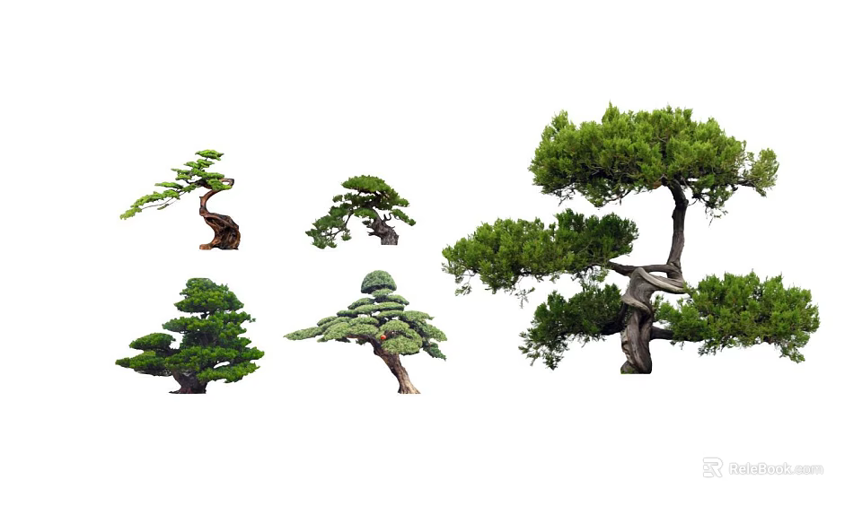 Various Types of Arbor Trees With Unique Shapes for Landscape Decoration 3d model 