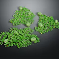 Lush Green Watermelon Vines Bearing Ripe Fruits And Small Yellow Blooms