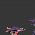 Colorful Pink and Purple Umbrella Shaped Plants with Feather Like Petals Against Black Background