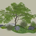 Lush Green Arbor With Dense Foliage Surrounded By Grass Rocks And Shrubs