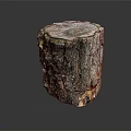Natural Wooden Tree Stump Decorative Piece Featuring Bark Texture And Visible Growth Rings For Home Decor